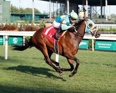 Pin's Rare Hippodrome De Vichy 92 - Sport Cheval Trot, époque 2003