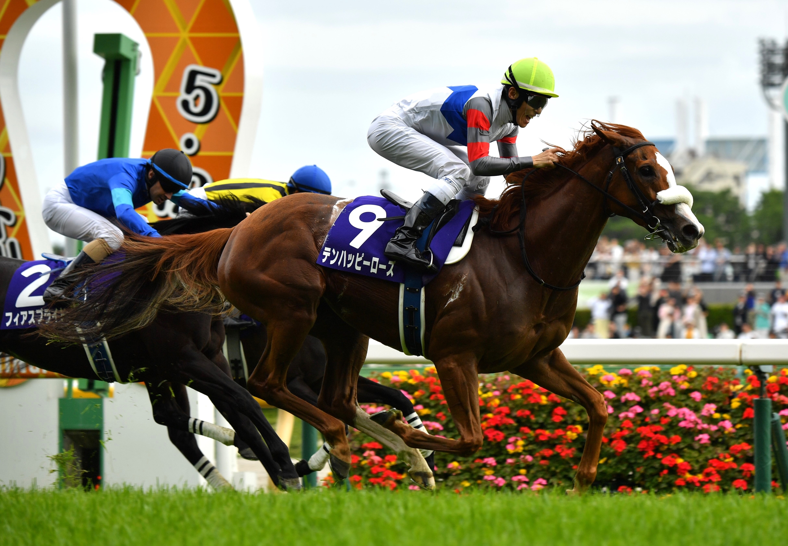 Ten Happy Rose Wins Victoria Mile at 208-1 Odds - BloodHorse