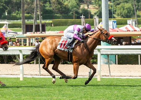 Reddam Racing’s Stay and Scam wins the $100,000 Fran’s Valentine Stakes at Santa Anita Park