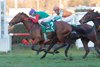 Frateli La Vita wins the Gran Premio Club Hipico Falabella on Sunday, May 26, 2024 at Club Hipico de Santiago in Chile