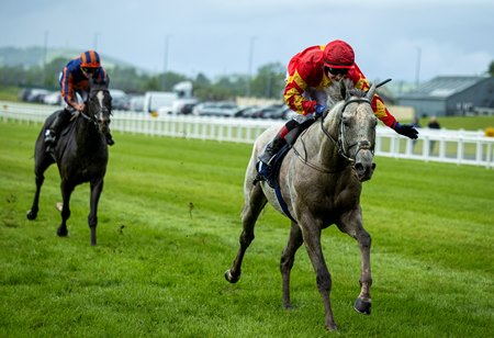 White Birch defeats Auguste Rodin in the Tattersalls Gold Cup at The Curragh