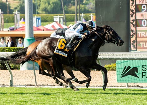 Anisette Wins Gamely Stakes in Her 4-Year-old Debut - BloodHorse