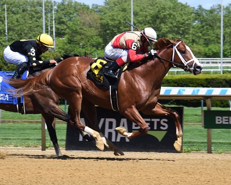 Antiquarian wins the Peter Pan Stakes at Aqueduct Racetrack