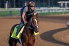 KY Derby contender Mystik Dan gallops at Churchill Downs Thursday May 2, 2024 in Louisville, KY. Photo by Skip Dickstein