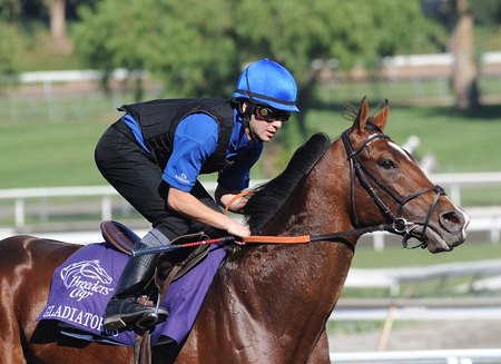 Gladiatorus trains for the 2009 Breeders' Cup Mile at Santa Anita Park