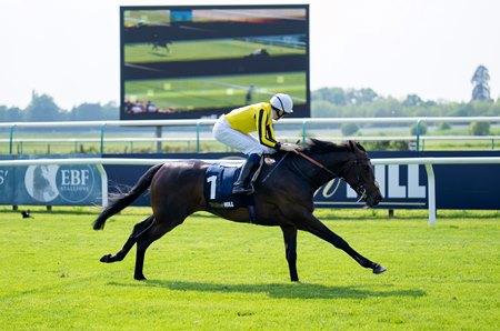 Ambiente Friendly wins the 2024 Derby Trial Stakes at Lingfield Racecourse