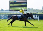 Ambiente Friendly (Callum Shepherd) wins the Derby Trial
Lingfield 11.5.24 Pic: Edward Whitaker