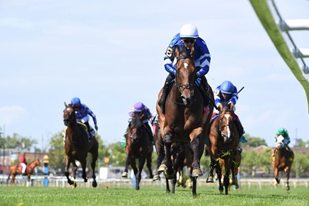 Silver Knott leaves the competition behind in the Man o' War Stakes at Aqueduct Racetrack