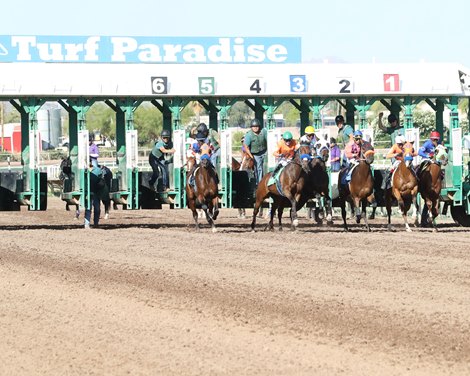 Live Racing Postponed at Turf Paradise