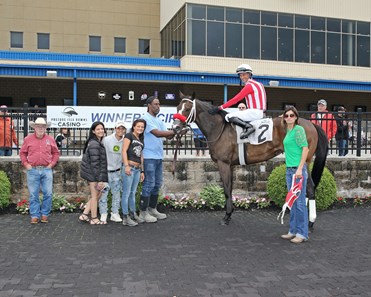 Wheelingndealing - Horse Profile - BloodHorse