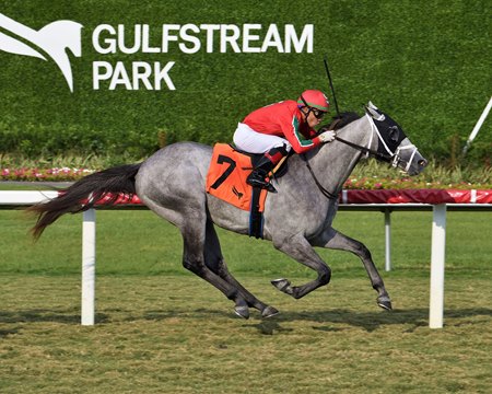 Gabaldon wins the Royal Palm Juvenile Stakes at Gulfstream Park