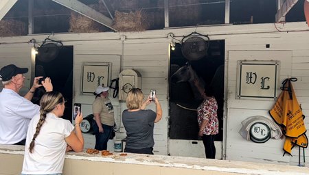 About 50 MyRacehorse owners had the opportunity to meet Seize the Grey at an event held at D. Wayne Lukas' Churchill Downs barn