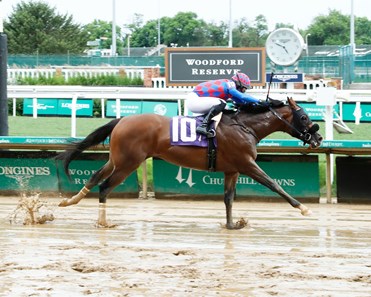 This Is Uscar - Horse Profile - BloodHorse