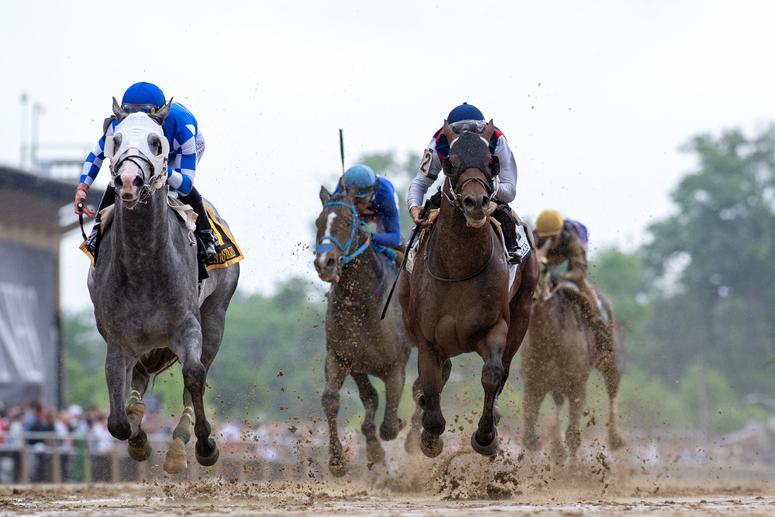 Frost Free - Horse Profile - BloodHorse