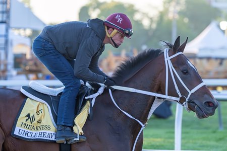 Uncle Heavy trains for the Preakness Stakes at Pimlico Race Course