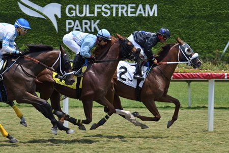 Racing at Gulfstream Park