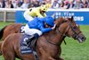 Notable Speech (William Buick) wins the 2000 Guineas
Newmarket 4.5.24 Pic: Edward Whitaker