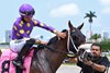 Awesome Wind wins a maiden claiming race giving jockey Melvis Gonzalez his first US win on Sunday, May 12, 2024 at Gulfstream Park