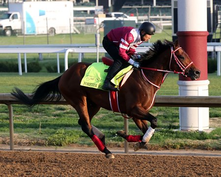 Forever Young trains at Churchill Downs ahead of the Kentucky Derby