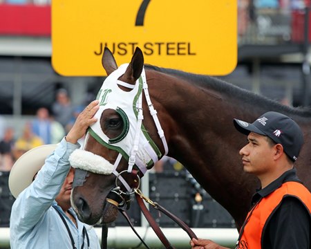 Just Steel gets a pat on the head prior to running in the Preakness Stakes at Pimlico Race Course