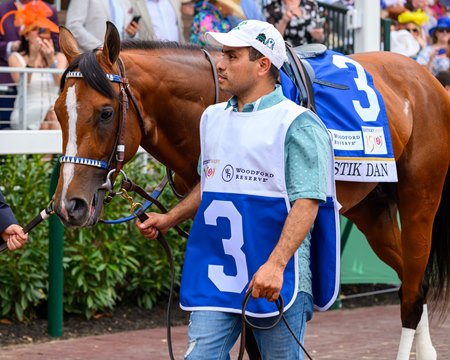 Mystik Dan in the Churchill Downs paddock before winning the Kentucky Derby