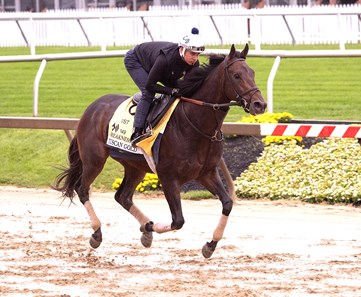 Tuscan Gold - Horse Profile - BloodHorse