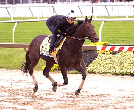 Tuscan Gold, unraced since finishing third in the March 23 Louisiana Derby, trains May 15 at Pimlico Race Course