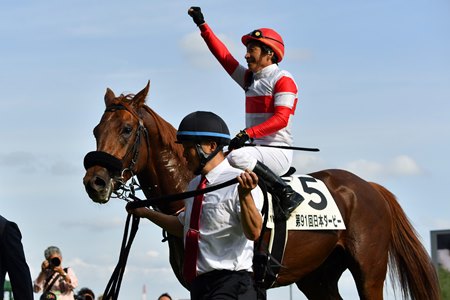 Norihiko Yokoyama celebrates aboard Danon Decile after their Tokyo Yushun victory at Tokyo Racecourse