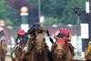 Sierra Leone (outside 2nd) and Forever Young (3rd) battle in the 2024 Kentucky Derby