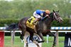 Soul of an Angel wins the Ruffian Stakes at Aqueduct Racetrack