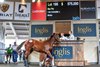 An I Am Invincible weanling tops the opening session of the Inglis Australian Weanling Sale May 6