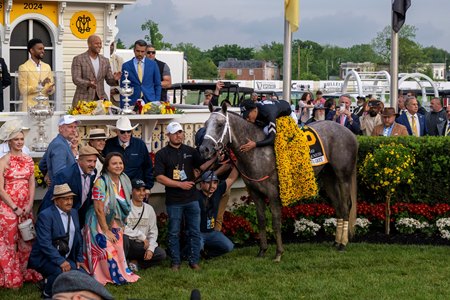 Seize the Grey in the 2024 Preakness Stakes winner's circle at Pimlico Race Course