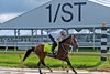 Mystik Dan lightly gallops May 13 at Pimlico Race Course