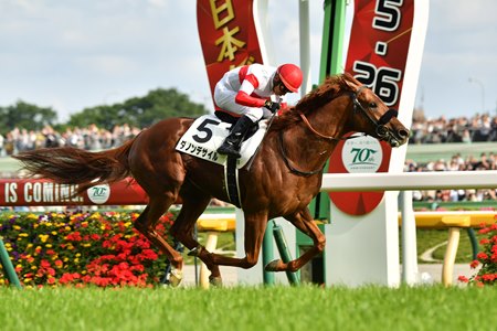 Danon Decile wins the Japanese Derby at Tokyo Racecourse