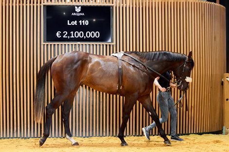 Coolmore, Godolphin Clash Over €2.3M Justify Colt