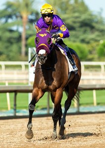 Mucho Del Oro wins the Daytona Stakes at Santa Anita Park