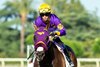 Mucho Del Oro and jockey Kyle Frey win the $100,000 Grade III, Daytona Stakes, Sunday, May 26, 2024 at Santa Anita Park, Arcadia CA.
&#169; BENOIT PHOTO