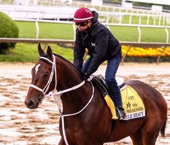 Uncle Heavy - Horse Profile - BloodHorse