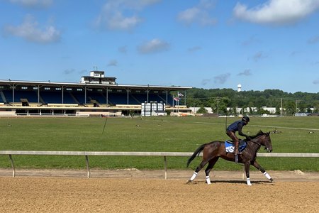Scenics, 2024 Fasig-Tipton Midlantic May 2 Year Olds in Training Sale