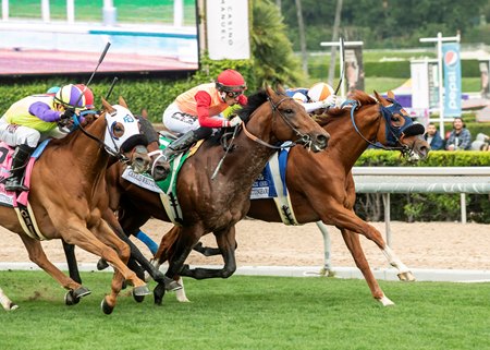 Gold Phoenix (right) holds off a charging Planetario (red cap) and Prince Abama (white blinkers) in the Charles Whittingham Stakes at Santa Anita Park