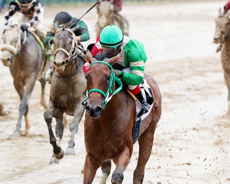 La Marinera wins a maiden special weight at Churchill Downs