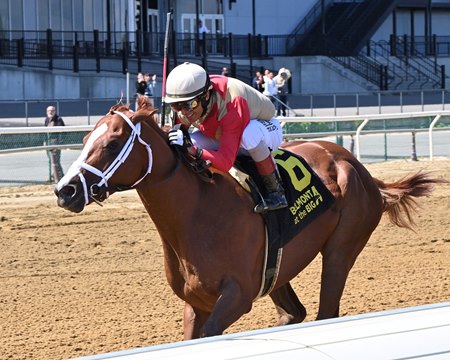 Antiquarian wins the Peter Pan Stakes at Aqueduct Racetrack
