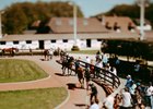 2024 Arqana Breeze Up Sale, Inspections
Arqana, Deauville, 11/05/2024, photo: Zuzanna Lupa