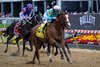 Pyrenees with jockey Brian Hernandez Jr. wins the 54th running of the Pimlico Special Friday May 17, 2024 at Pimlico Race Course in Baltimore, MD.    Photo by Skip Dickstein