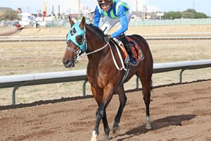 Higher Ed wins the May 11 Kendrick Stakes at Sunray Park