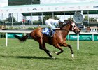 Whiskey Decision, AOC, Churchill Downs, May 10 2024