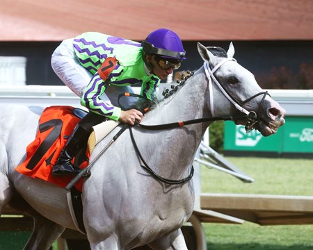 Next wins the Isaac Murphy Marathon Overnight Stakes at Churchill Downs