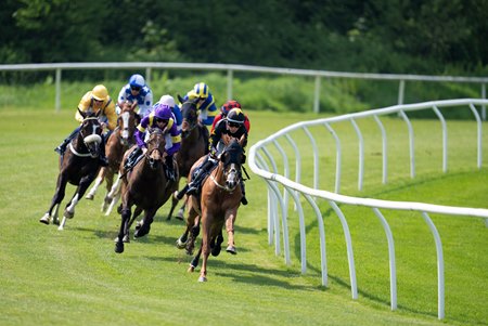 Lingfield Park Racecourse is one of the tracks that will not host racing Sept. 10