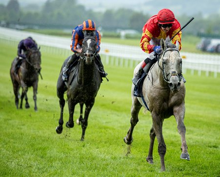 White Birch wins the 2024 Tattersalls Gold Cup at the Curragh