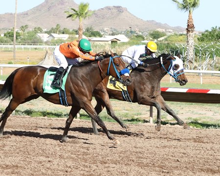 Racing at Turf Paradise